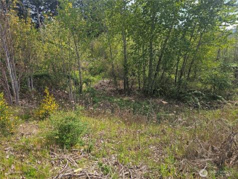 699 Myers Street SE Rainier WA 98576