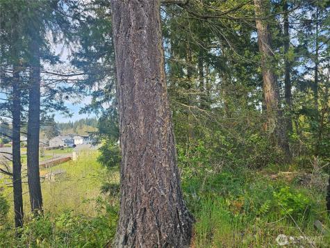 699 Myers Street SE Rainier WA 98576