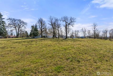 547 Ash Road Satsop WA 98583