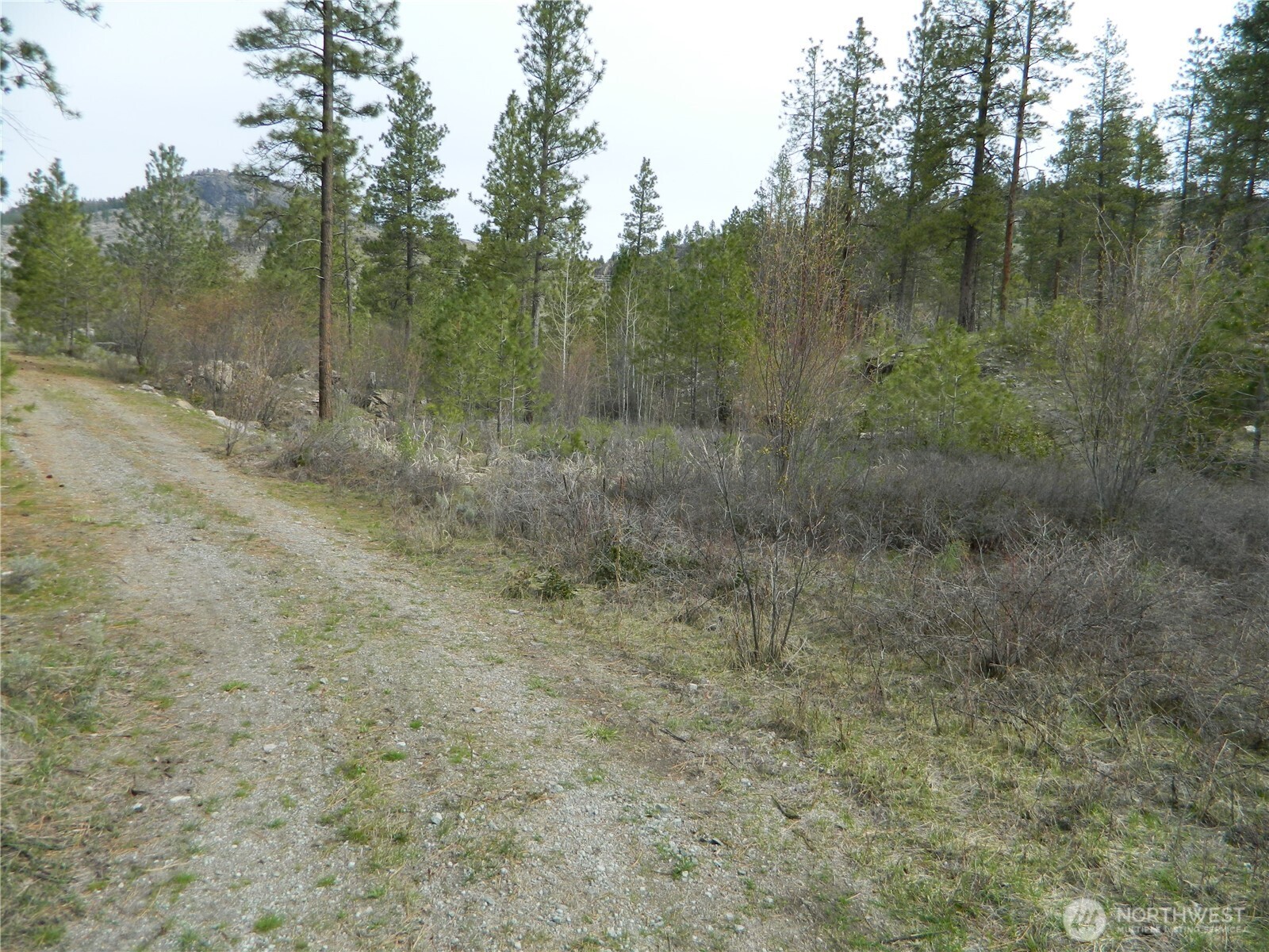 357 Swanson Mill Road Tonasket WA 98855