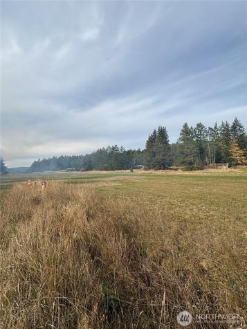 156 Vista Place Friday Harbor WA 98250