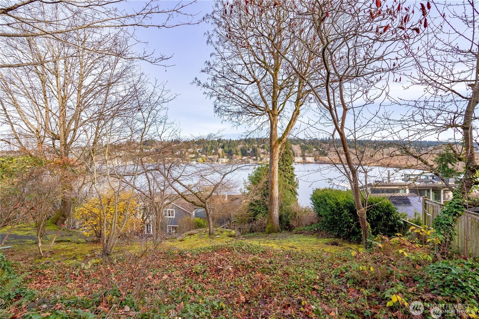 4442 95th Avenue NE Bellevue WA 98004