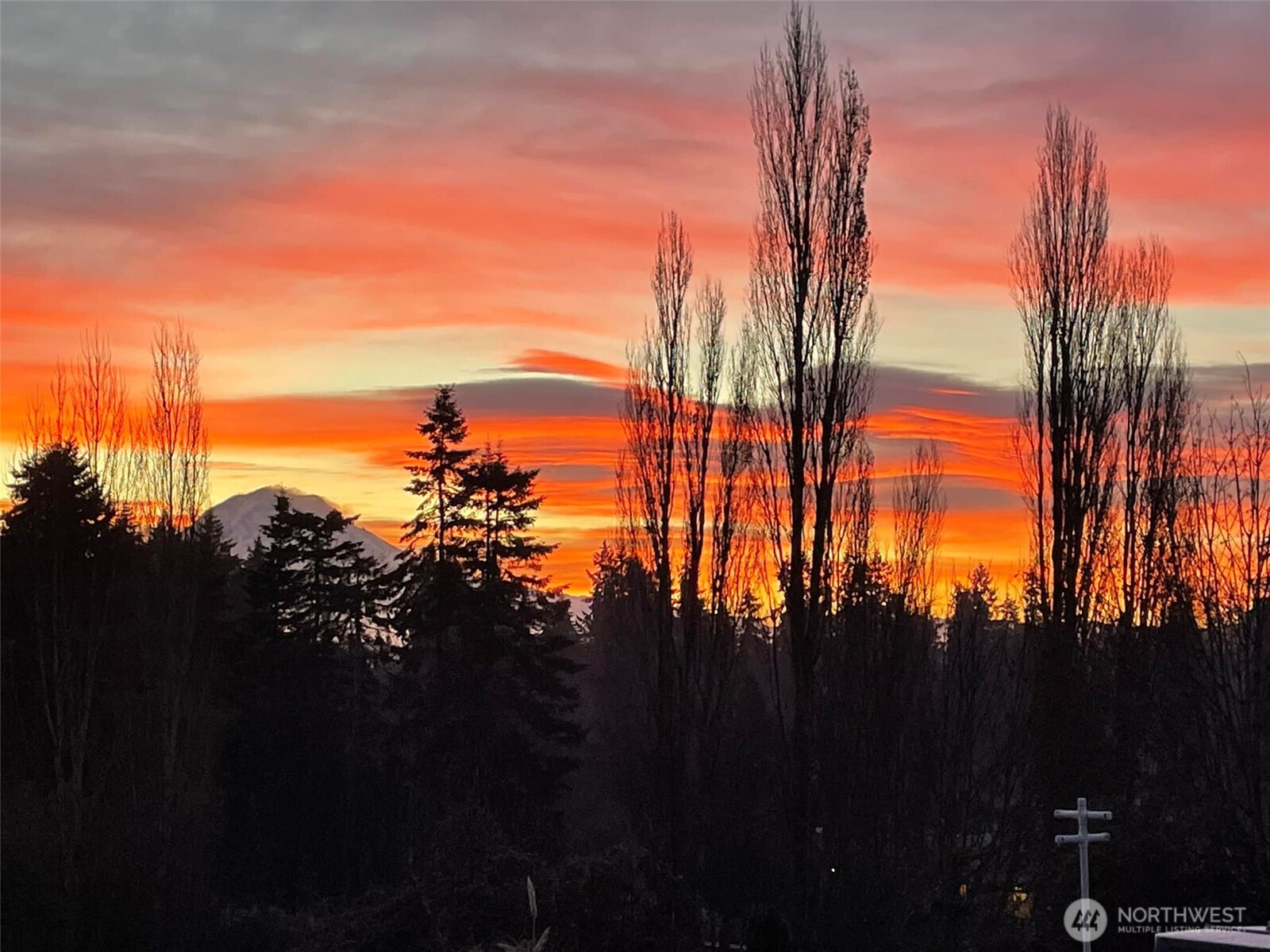 8603 Woodland Avenue E Puyallup WA 98371