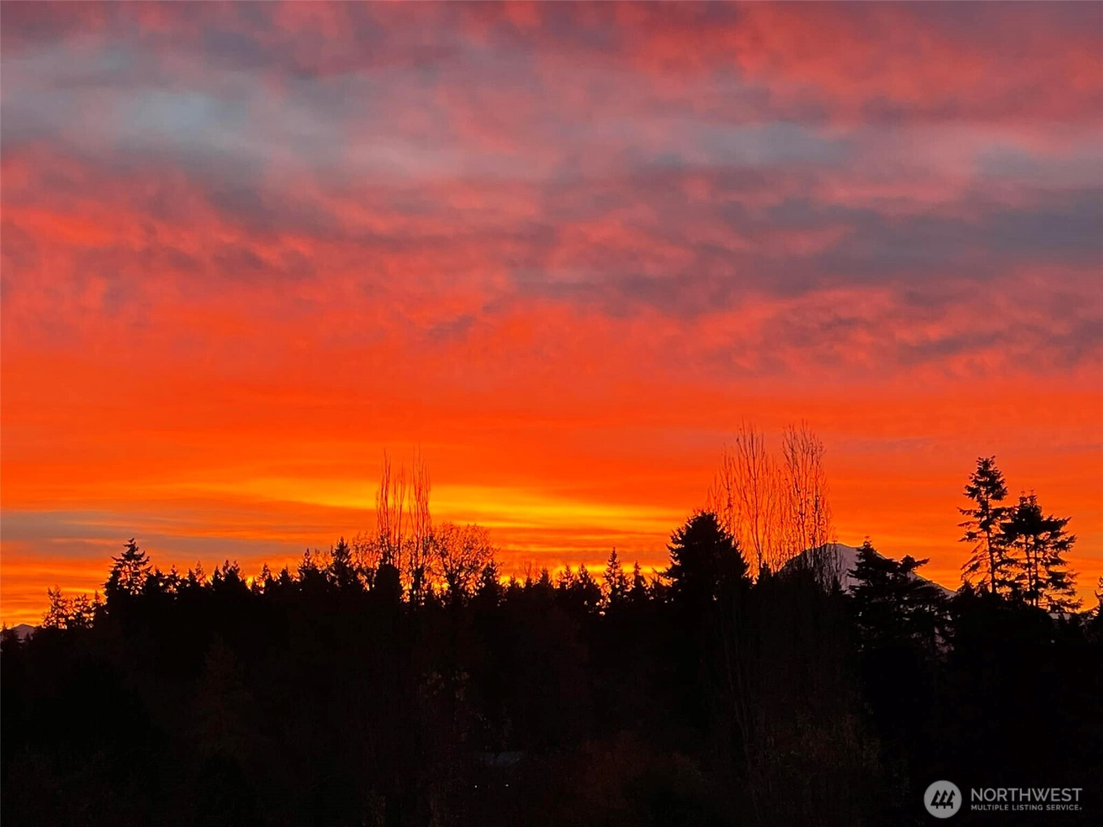 8603 Woodland Avenue E Puyallup WA 98371