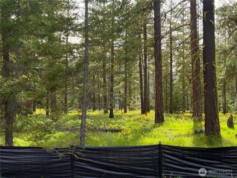 131 Plateau Loop Cle Elum WA 98922