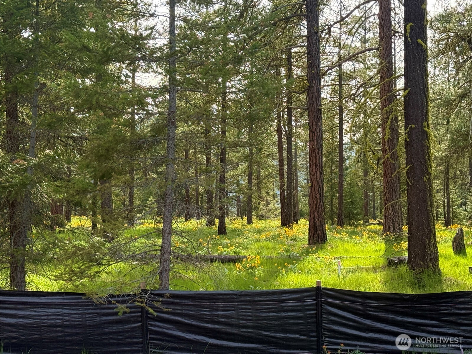 131 Plateau Loop Cle Elum WA 98922