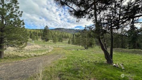 960 Forest Grove Cle Elum WA 98922