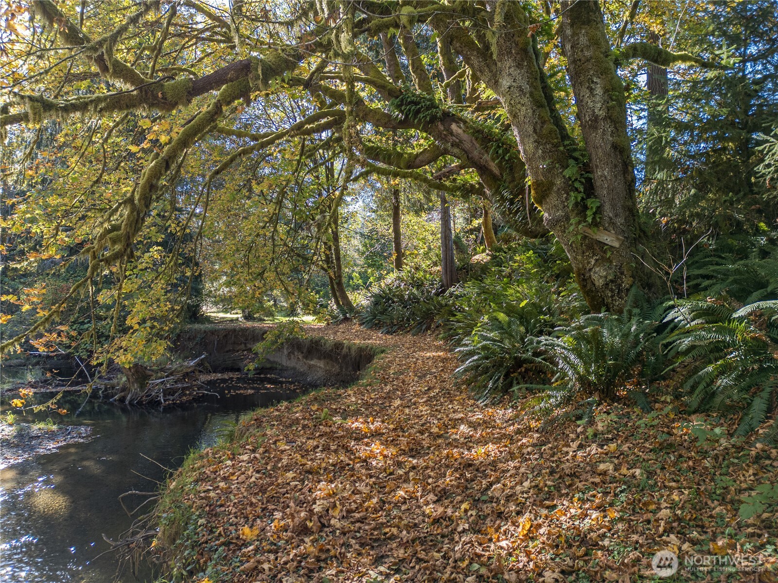 2095 Bear Creek Road Port Angeles WA 98363