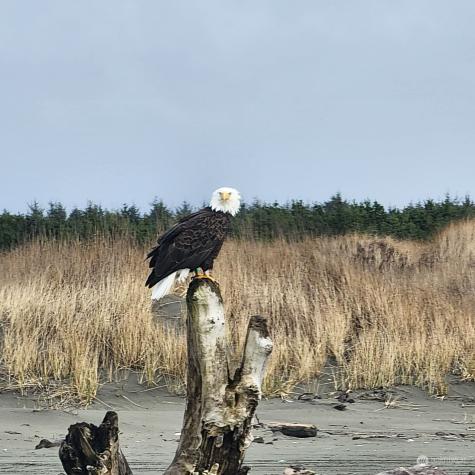 4757 State Route 109 Moclips WA 98562