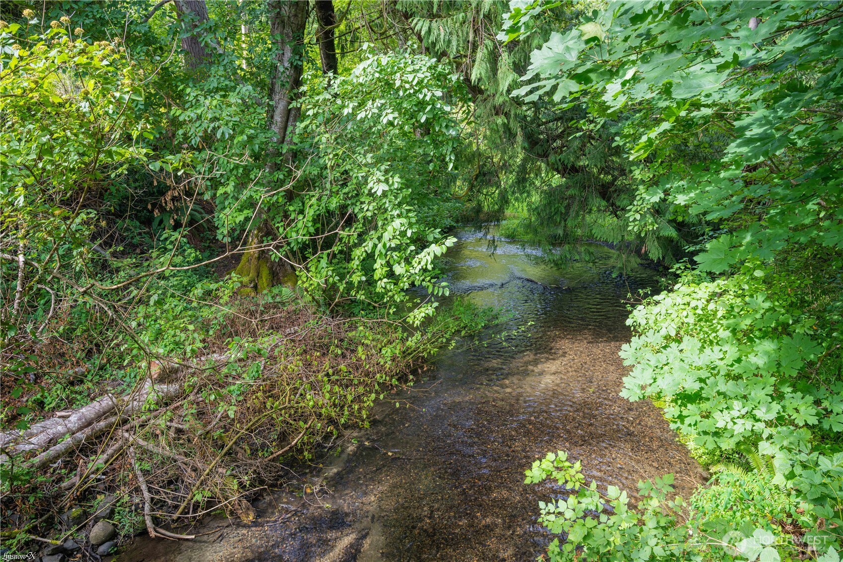 2102 Mark Street Lacey WA 98516