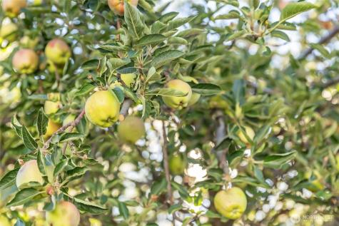 110 Strande Road Ellensburg WA 98926