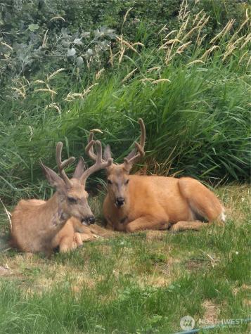 110 Strande Road Ellensburg WA 98926