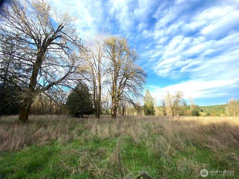 9444 Lundeen Road SW Rochester WA 98579