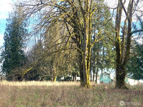 9444 Lundeen Road SW Rochester WA 98579