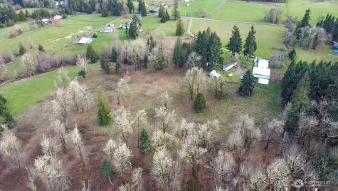 9444 Lundeen Road SW Rochester WA 98579
