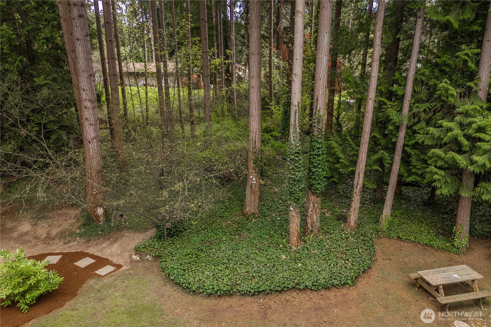 8115 50th Avenue E Tacoma WA 98443