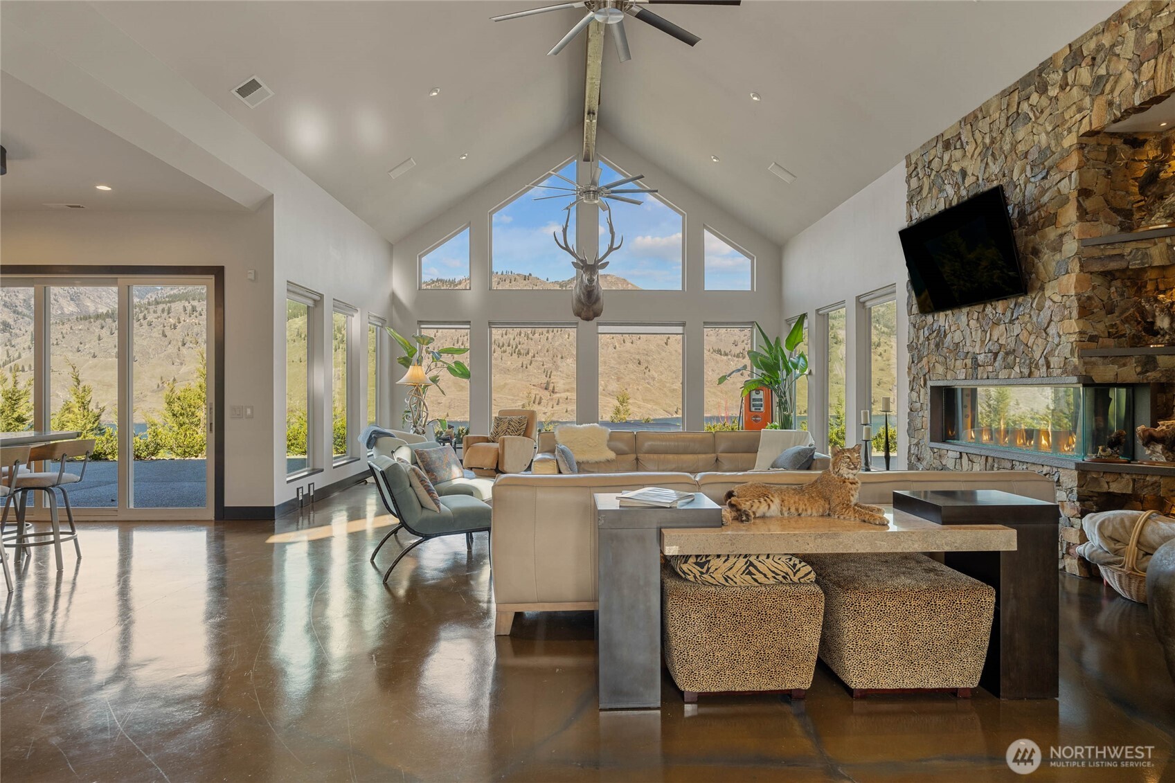 206 Mountain Lake Lane Chelan WA 98816