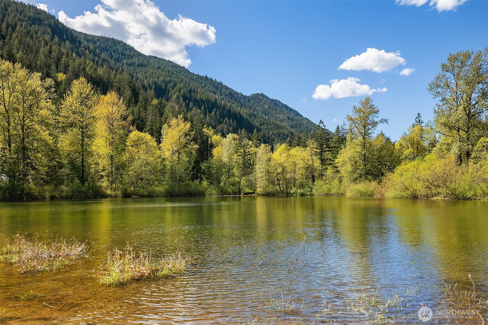42307 SE 168th Court North Bend WA 98045