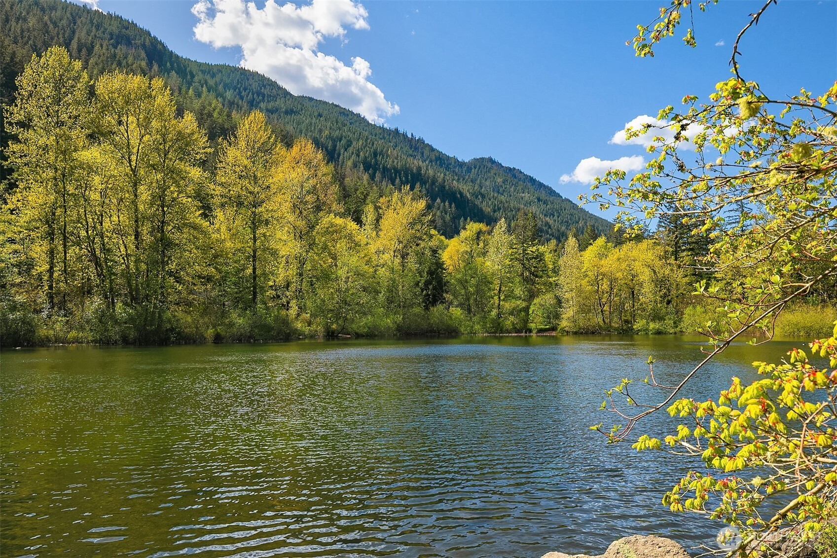 42307 SE 168th Court North Bend WA 98045