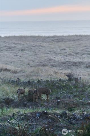 27208 J Lane Ocean Park WA 98640