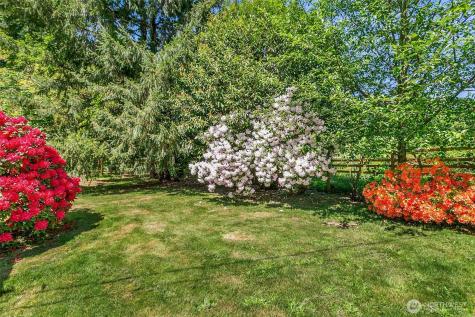 1909 Division Street NW Olympia WA 98502
