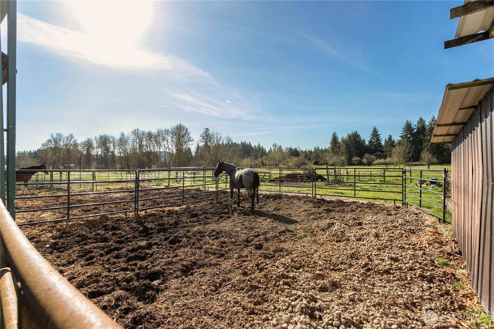 295 Kangas Road Toledo WA 98591