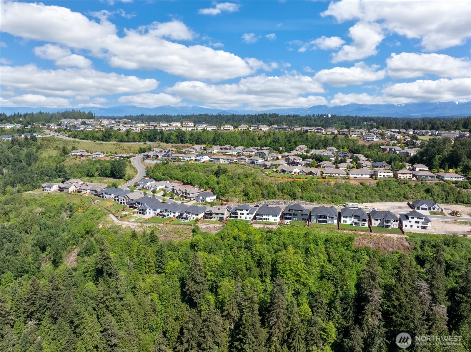 10105 174th Avenue E Bonney Lake WA 98391