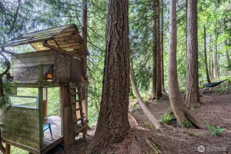 4 Alder Court Bellingham WA 98229