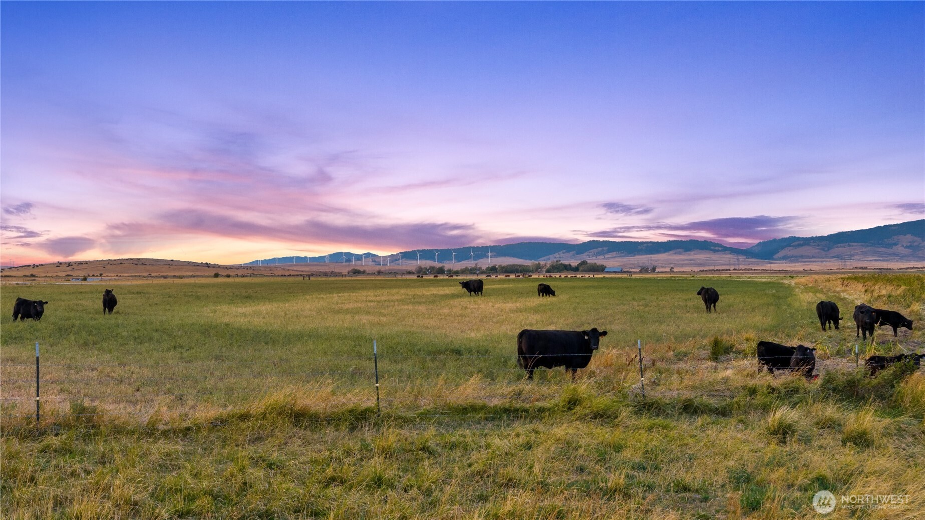 10350 Highway 97 Ellensburg WA 98926