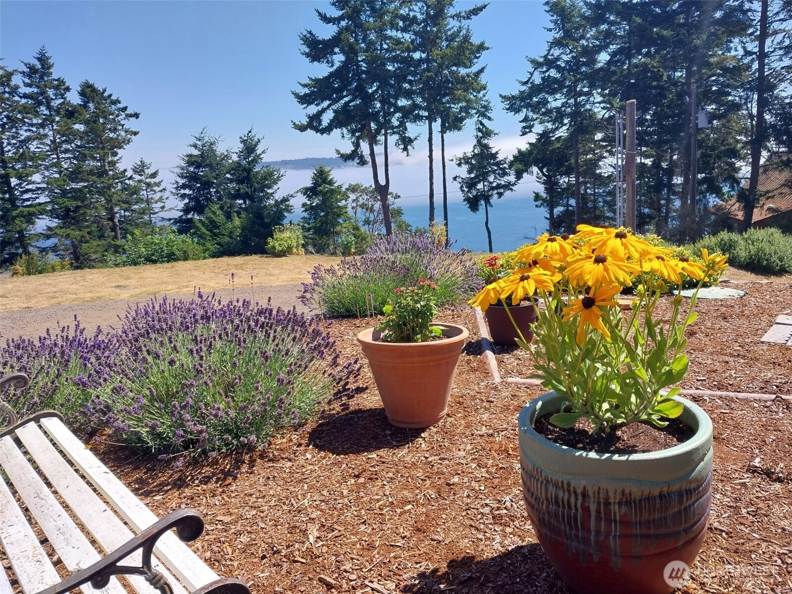 382 Discovery Way Sequim WA 98382