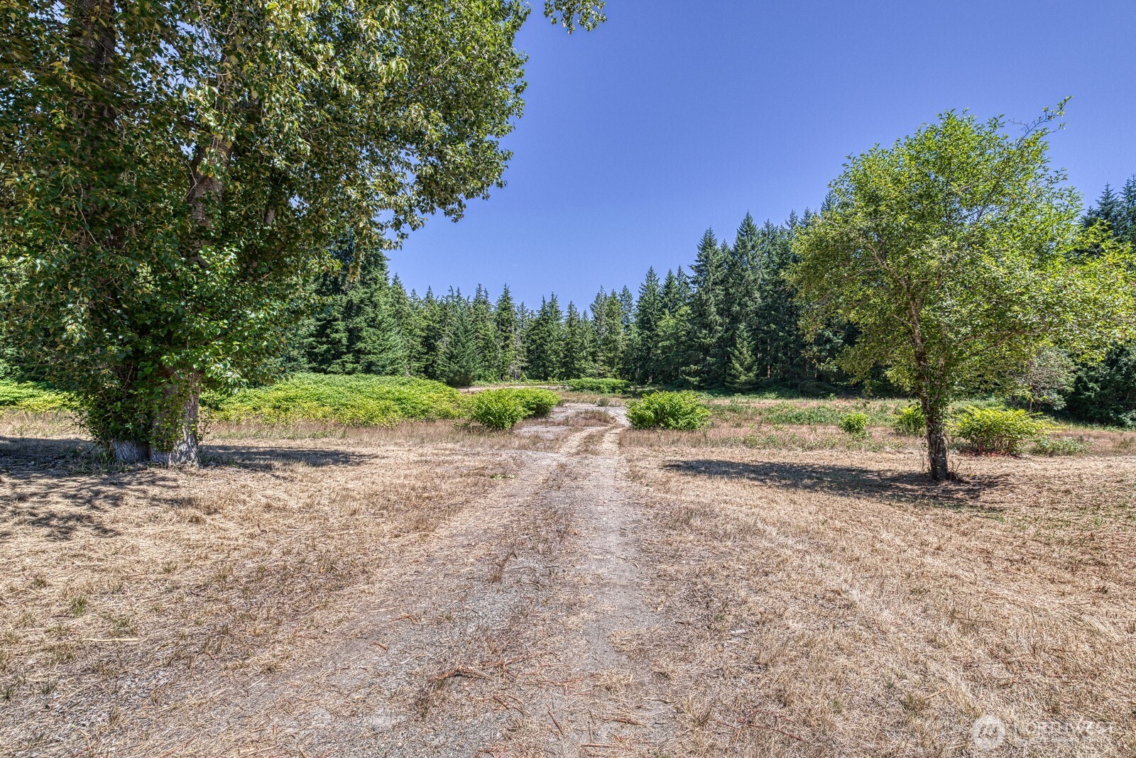 2937 131st Street NW Gig Harbor WA 98332