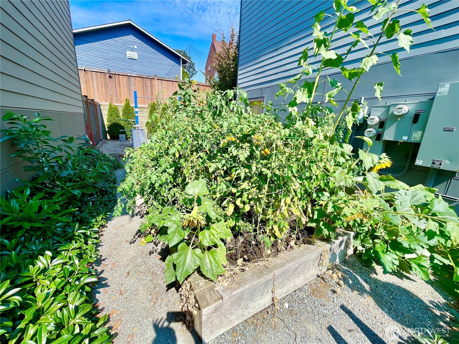 4910 S Willow Street Seattle WA 98118