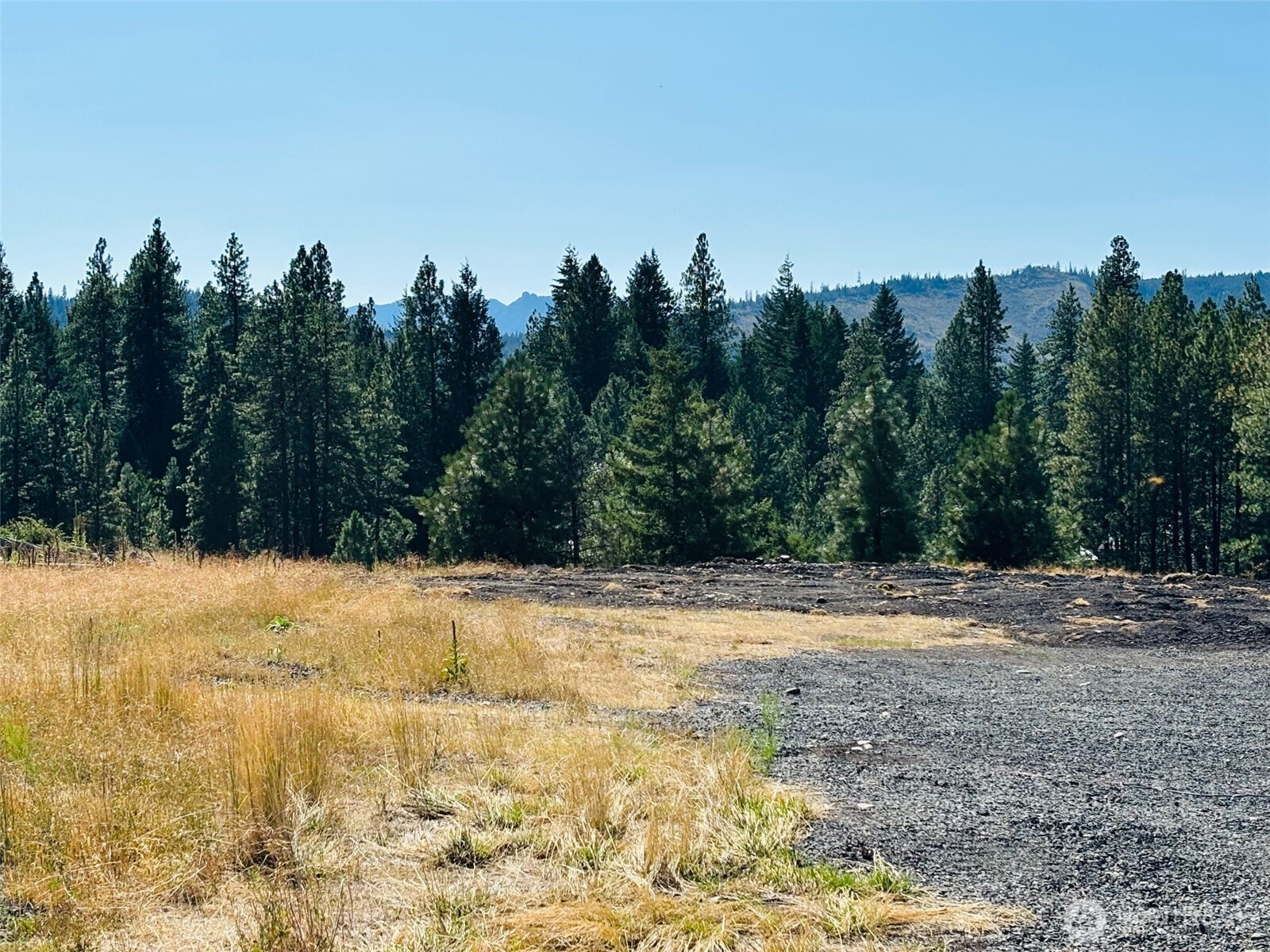 3 Rockrose Dr (Lot 3) Ronald WA 98940