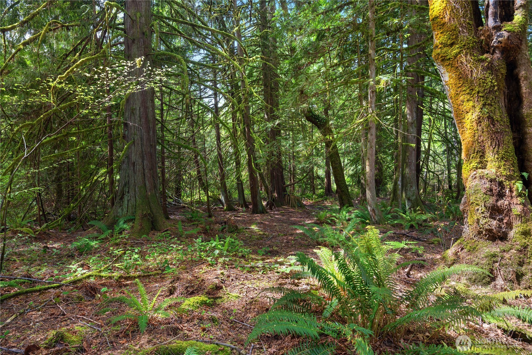 220 E Moore Lane Shelton WA 98584