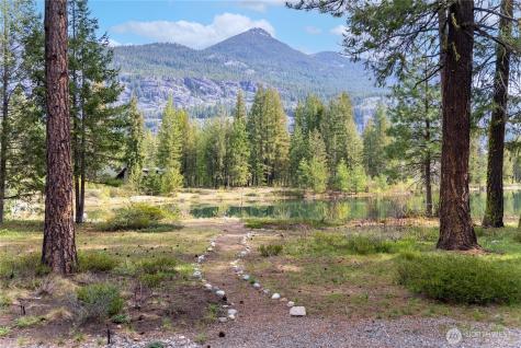 32 Freestone Lake Drive Mazama WA 98833