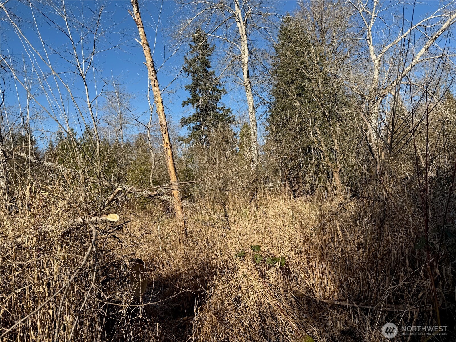 23112 State Route 9 SE Woodinville WA 98072