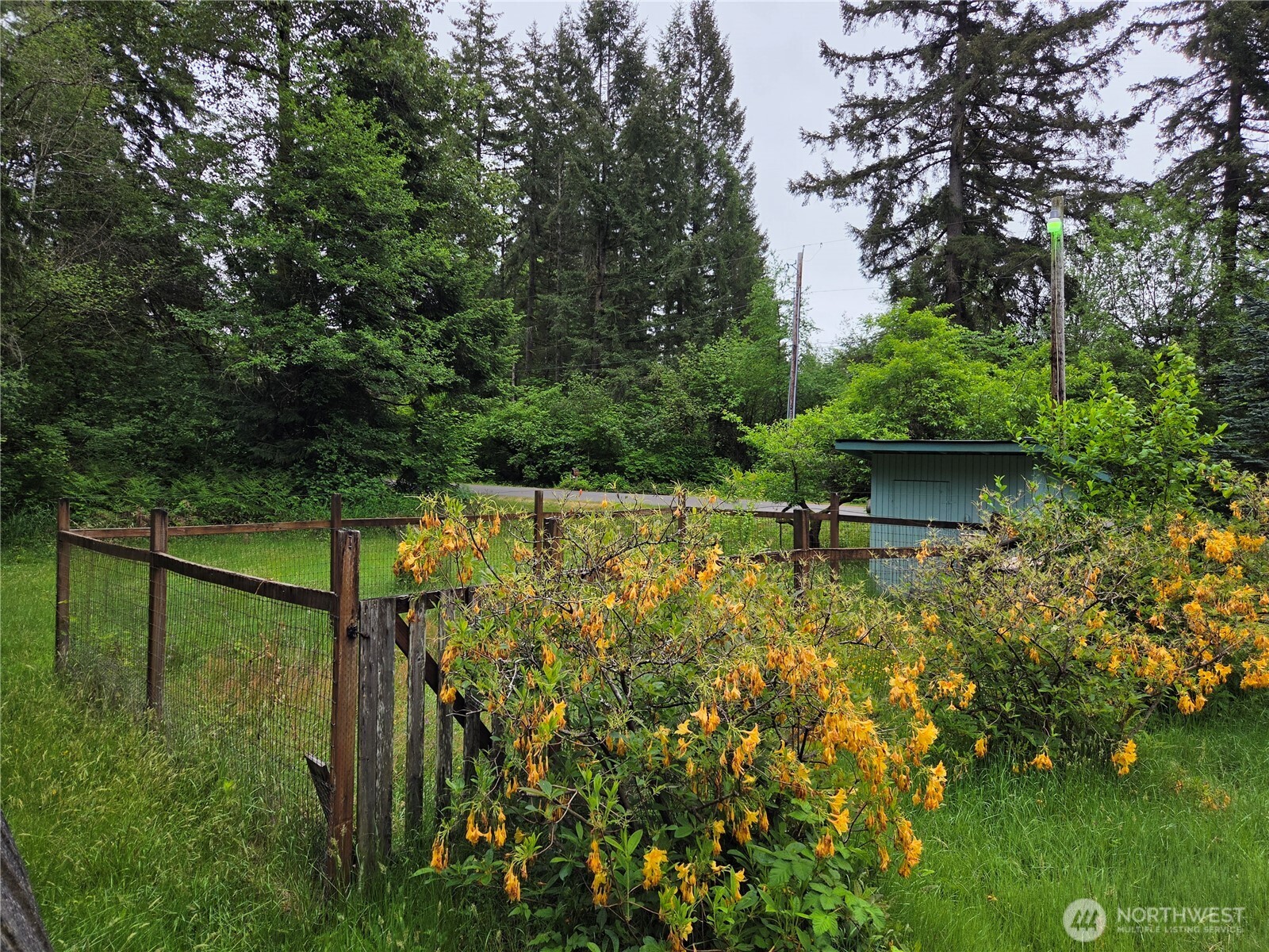 4120 107th Avenue SW Olympia WA 98512