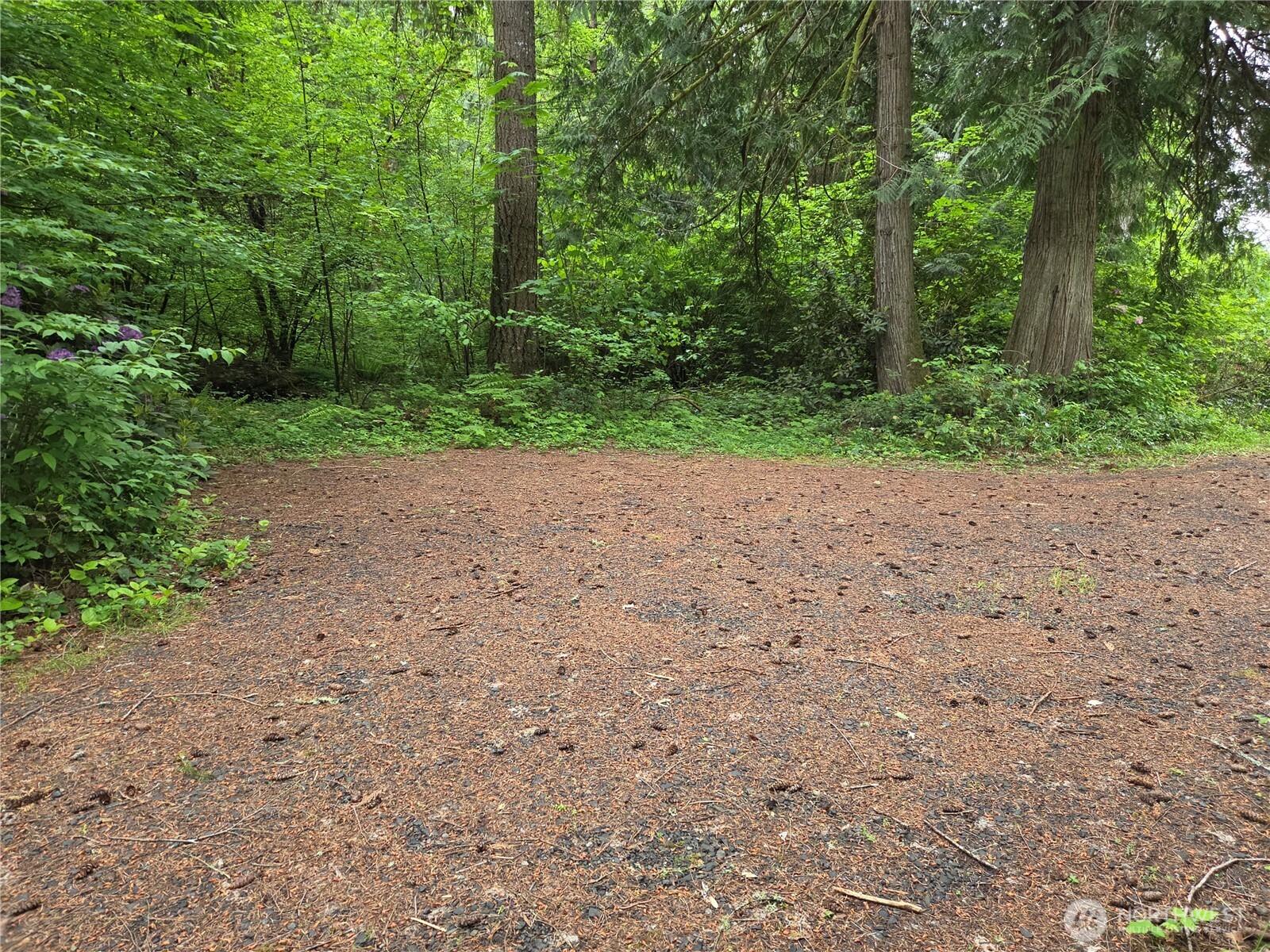 4120 107th Avenue SW Olympia WA 98512