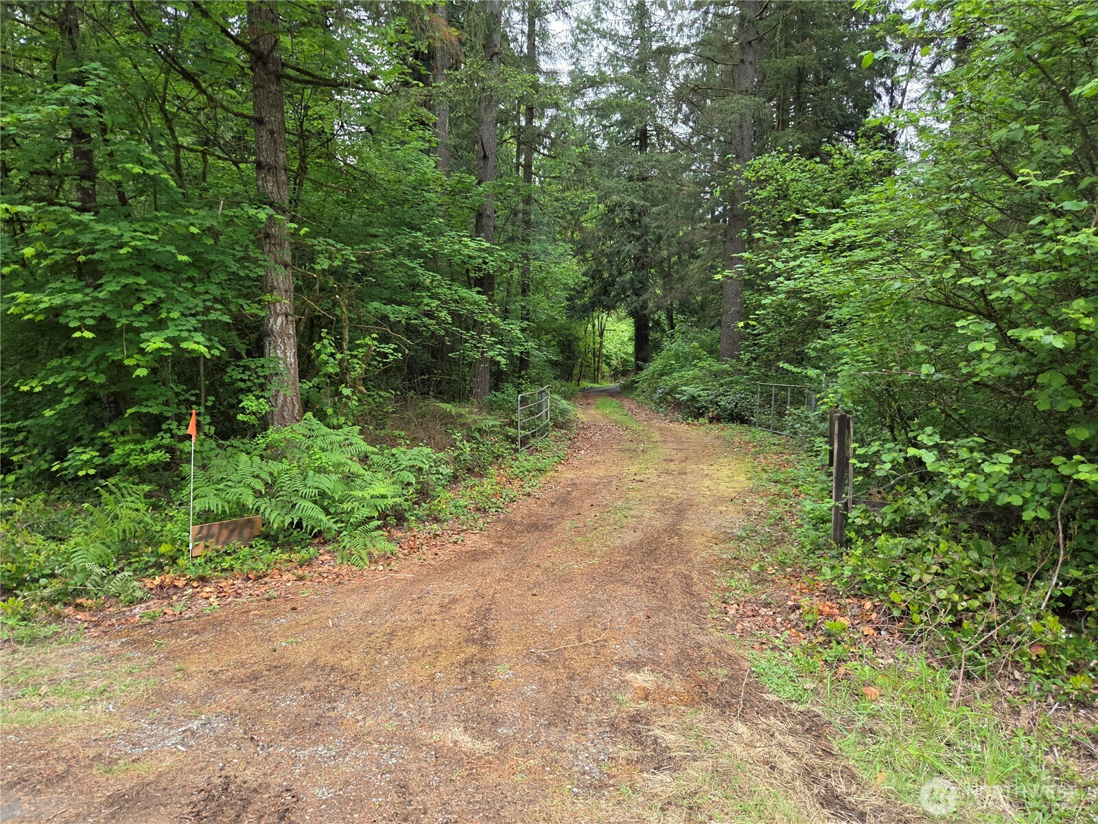 4120 107th Avenue SW Olympia WA 98512