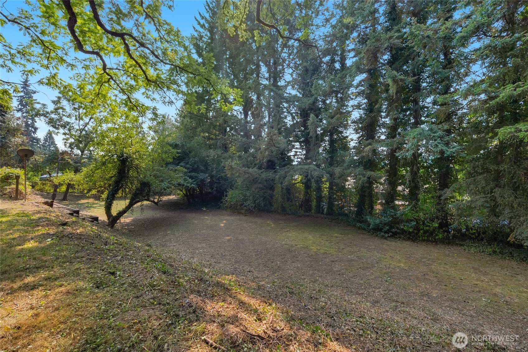 19331 37th Avenue NE Lake Forest Park WA 98155