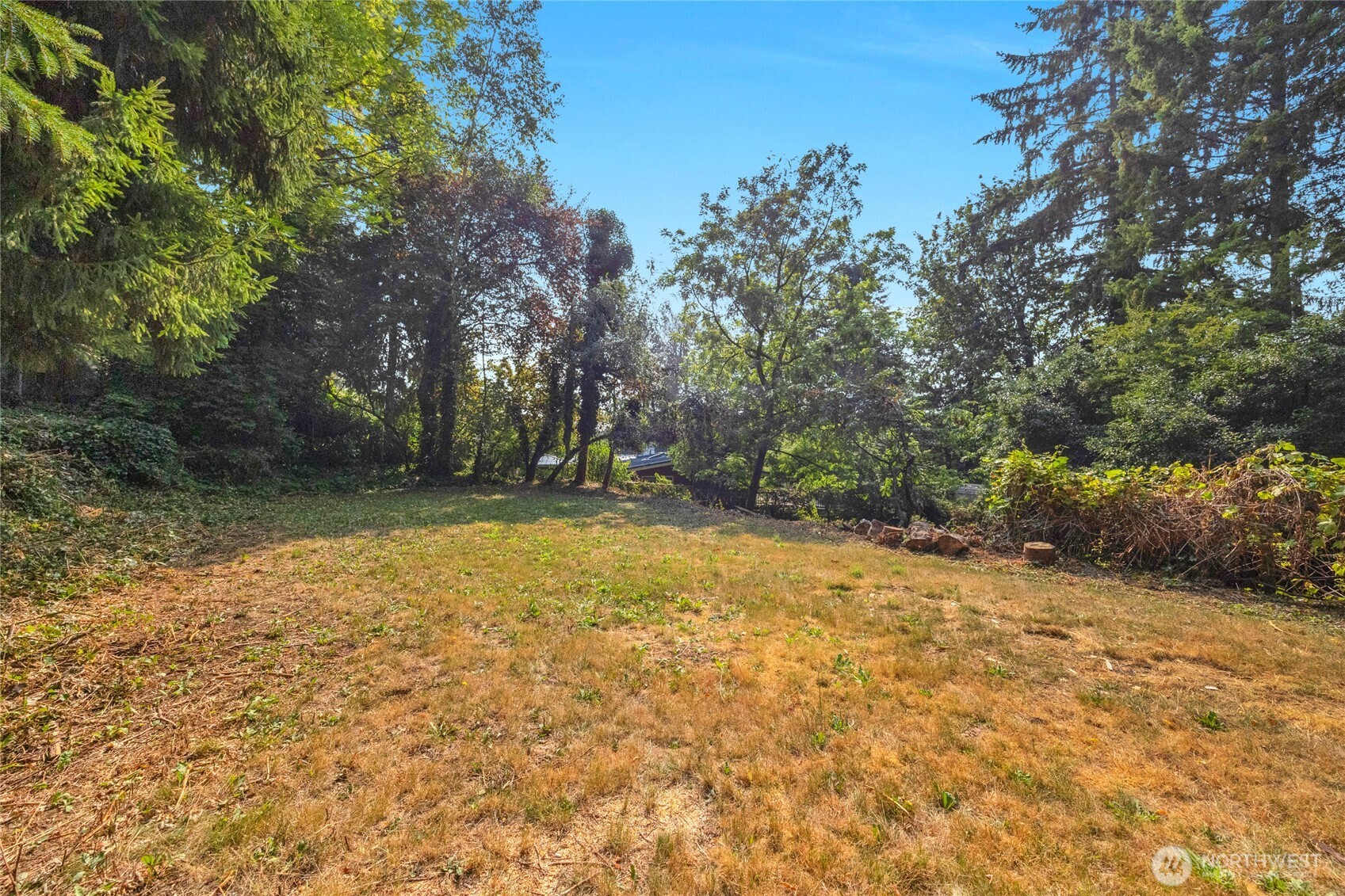 19331 37th Avenue NE Lake Forest Park WA 98155