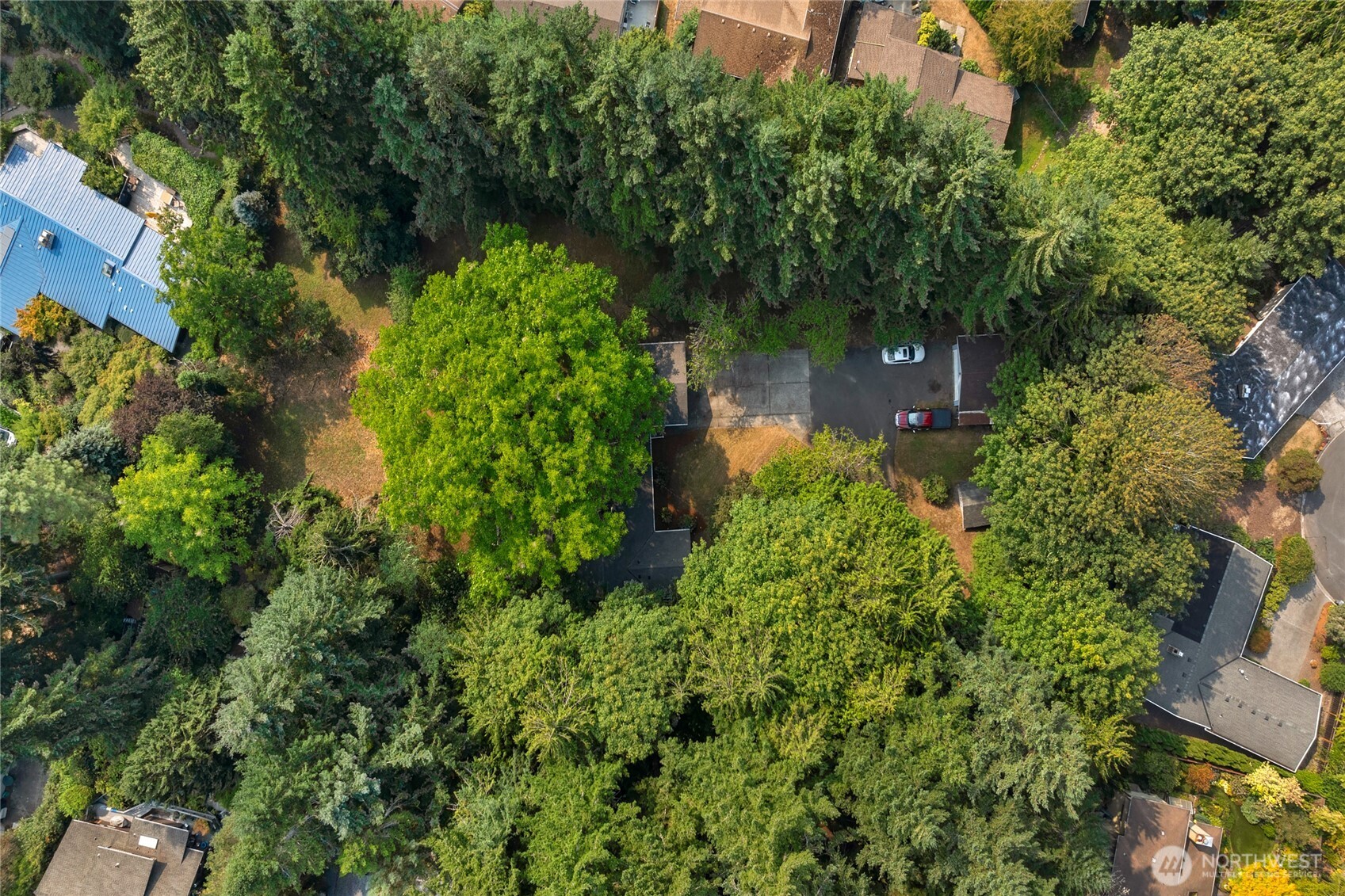 19331 37th Avenue NE Lake Forest Park WA 98155