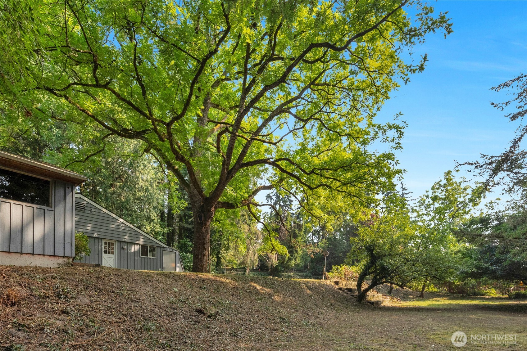 19331 37th Avenue NE Lake Forest Park WA 98155