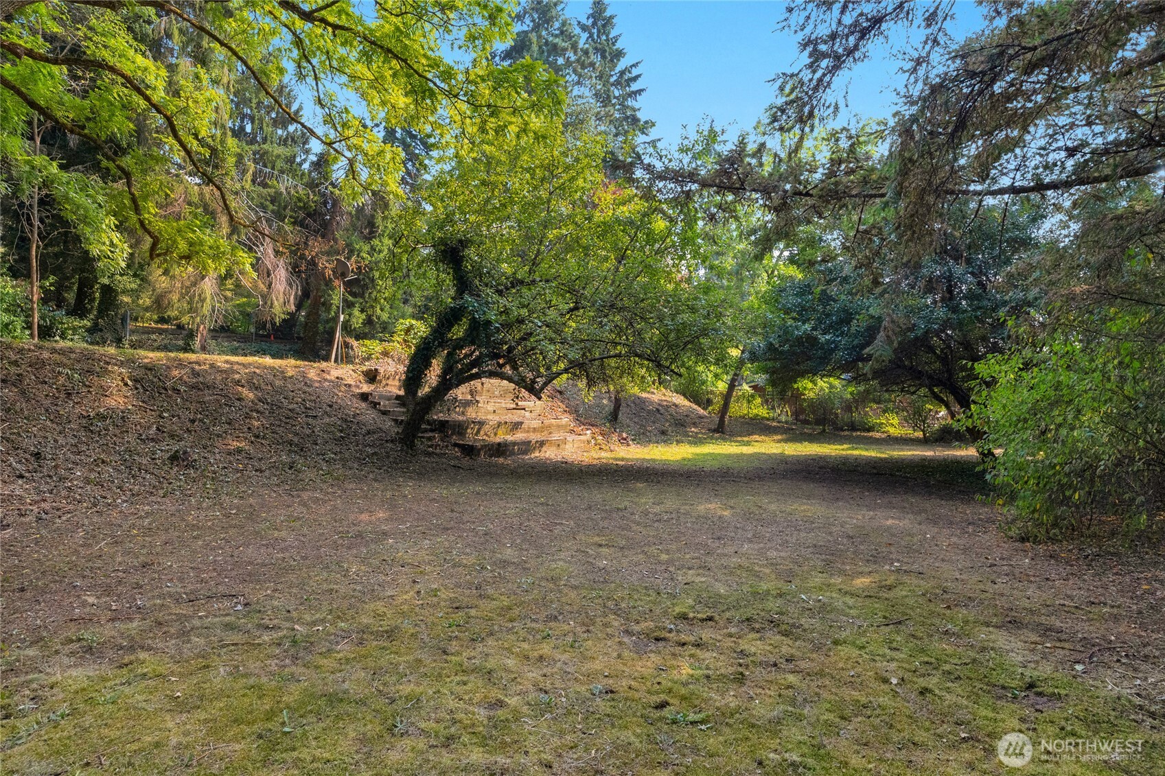19331 37th Avenue NE Lake Forest Park WA 98155