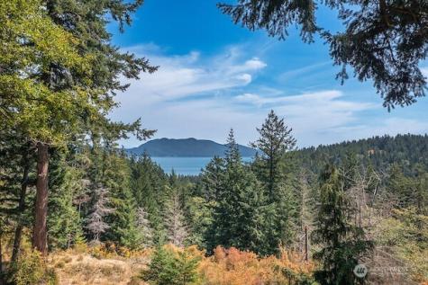 245 Roehls Hill Road Orcas Island WA 98279