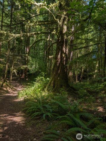 43 Lynnwood Lane Hoquiam WA 98550