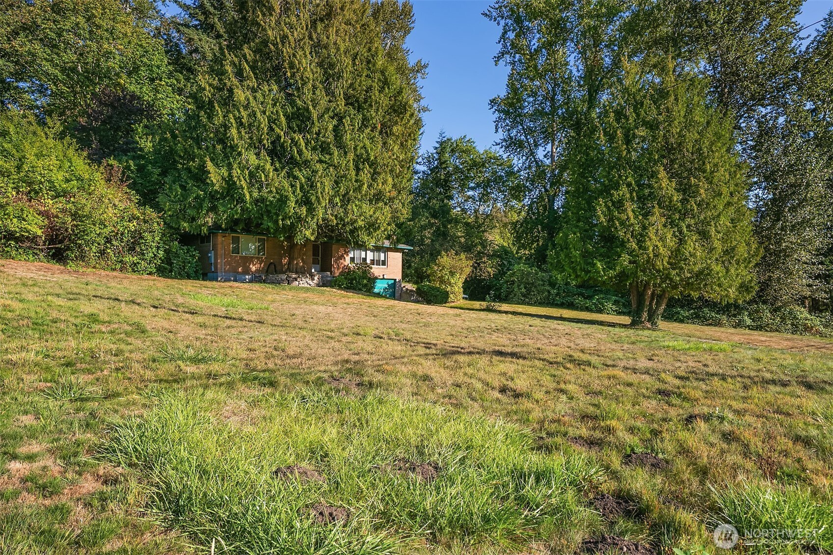 19044 35th Avenue NE Lake Forest Park WA 98155