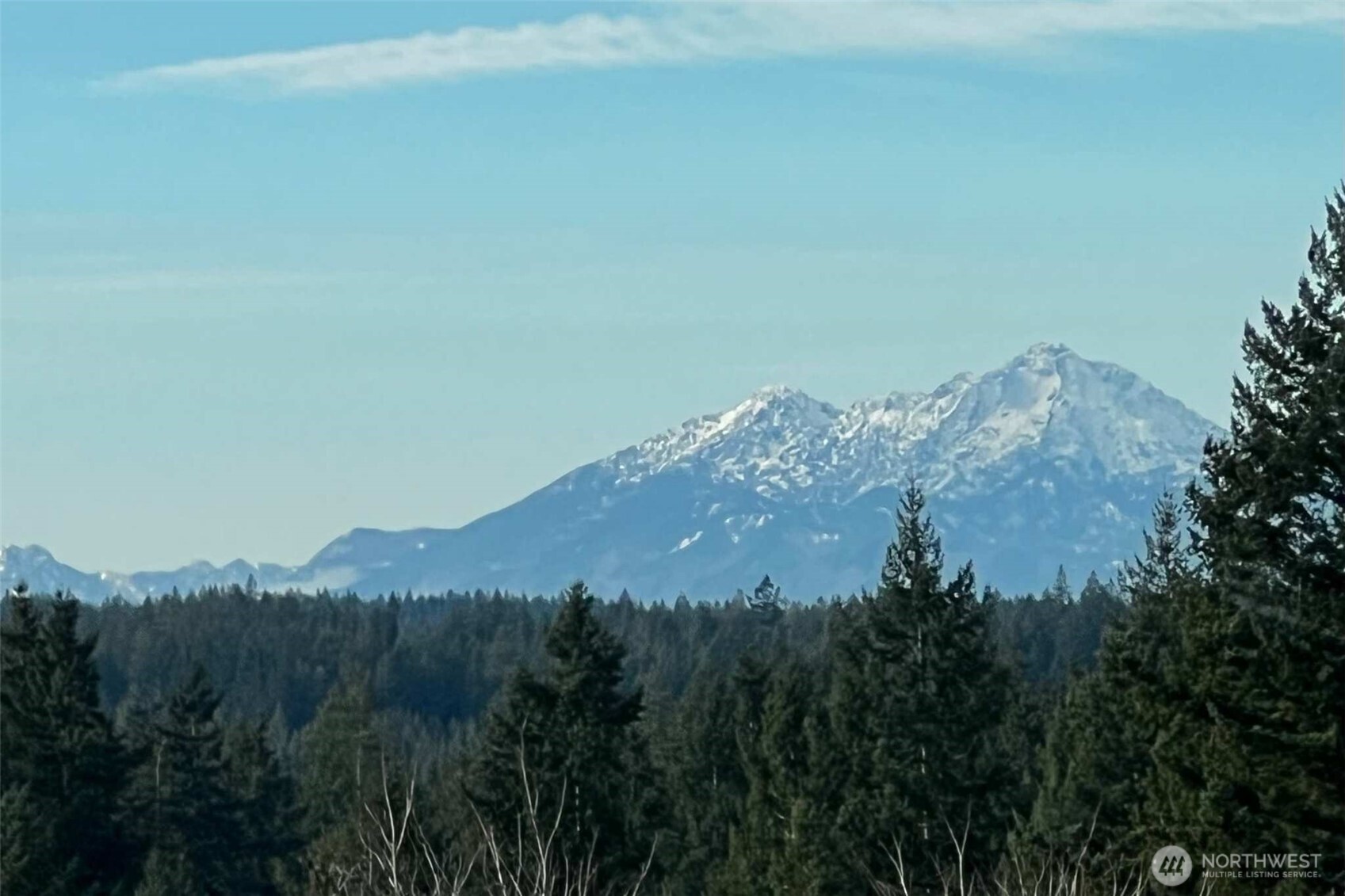 4201 Nettle Drive SE Port Orchard WA 98366