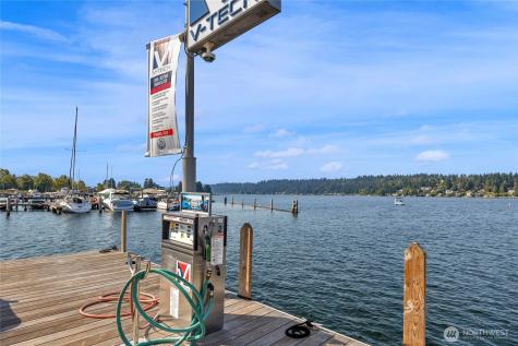 3911 Lake Washington Boulevard SE Bellevue WA 98006