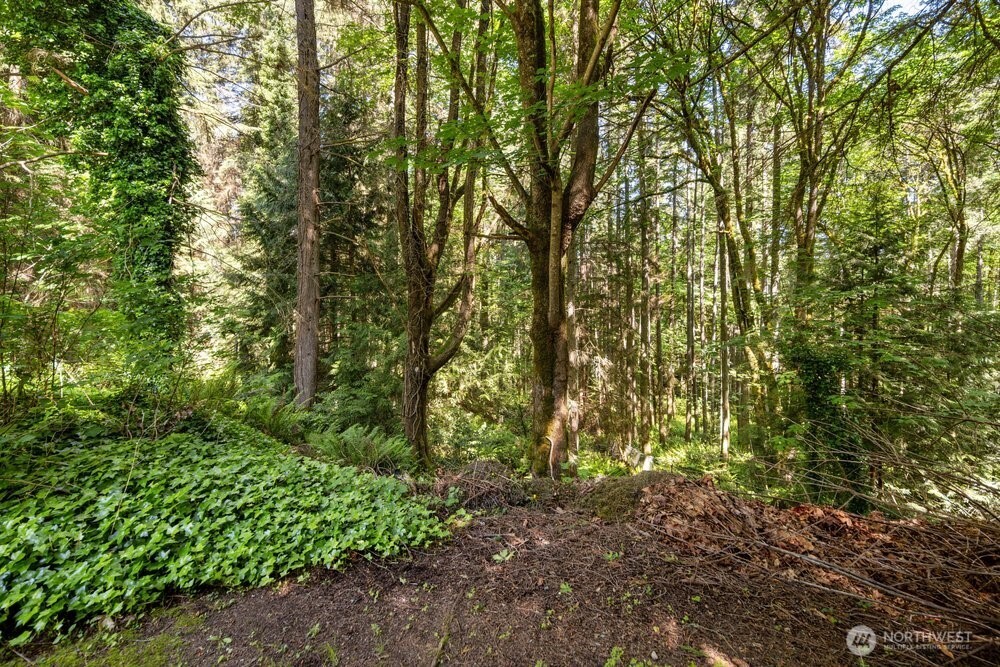 13412 54th Avenue W Edmonds WA 98026